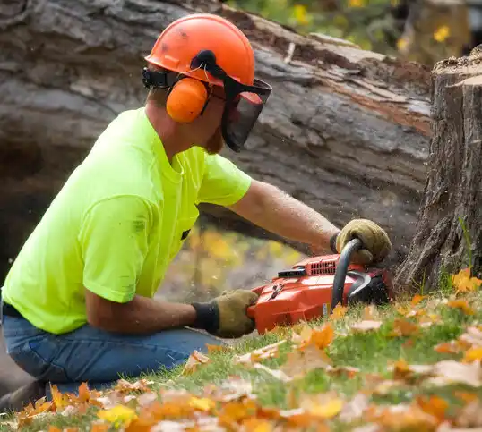 tree services Glencoe